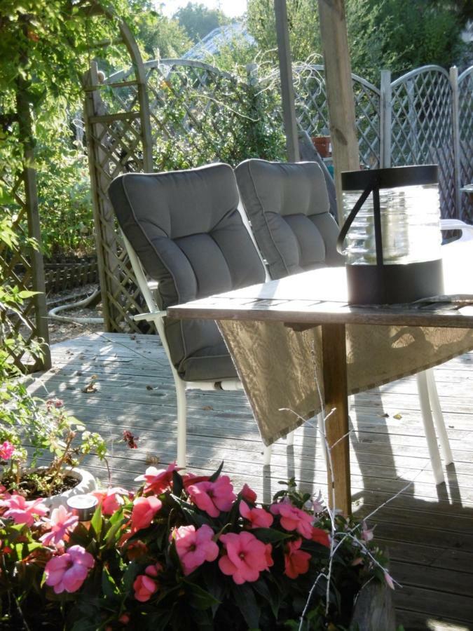 Le Chat Qui Peche B&B Chateauneuf-la-Foret Luaran gambar
