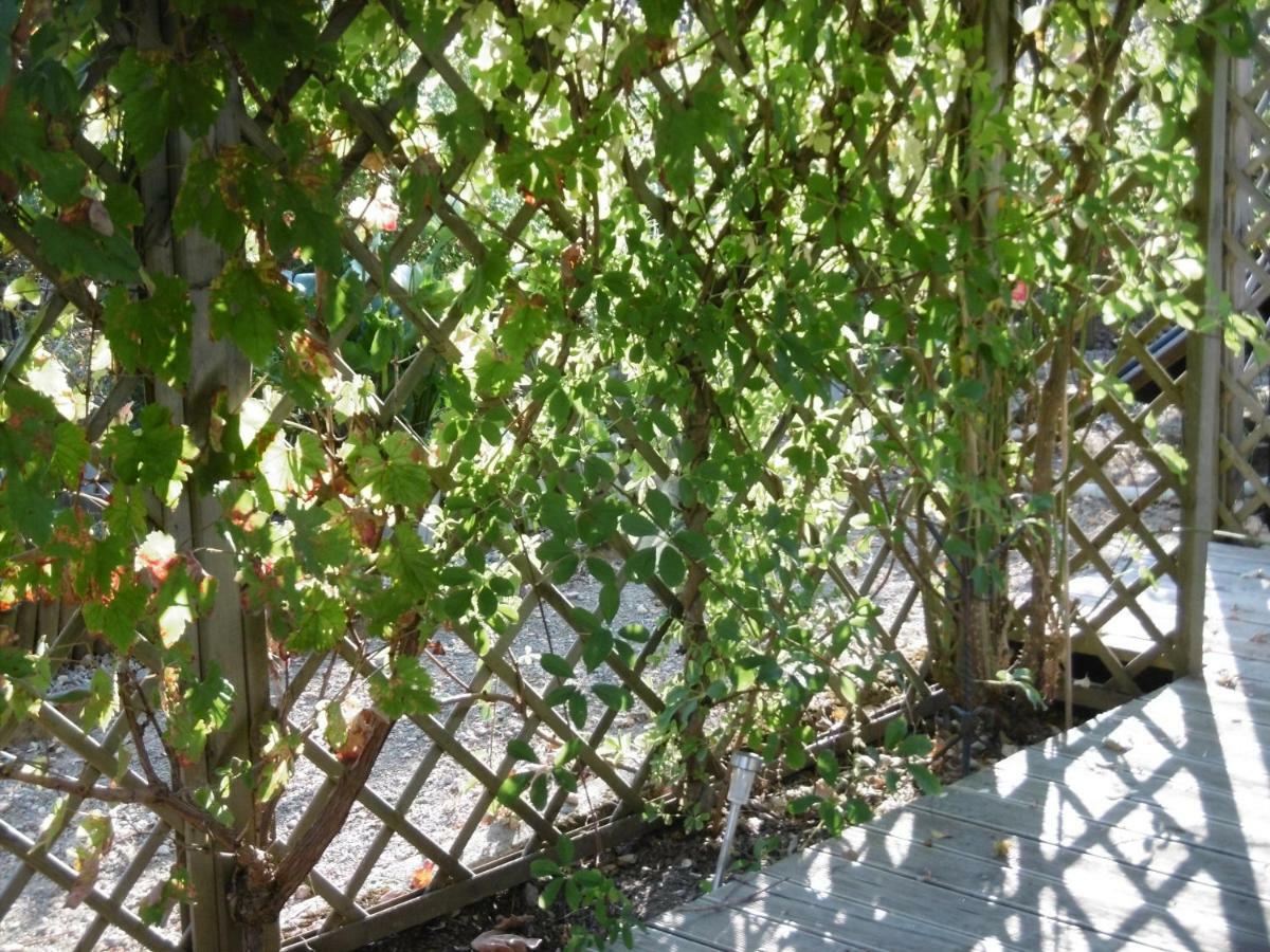 Le Chat Qui Peche B&B Chateauneuf-la-Foret Luaran gambar