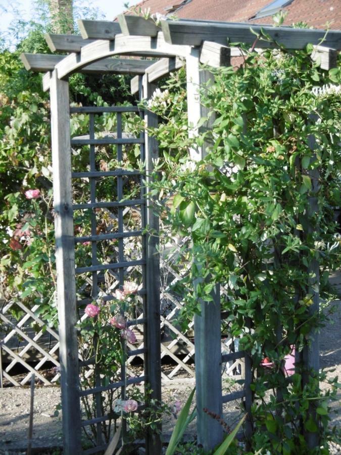 Le Chat Qui Peche B&B Chateauneuf-la-Foret Luaran gambar